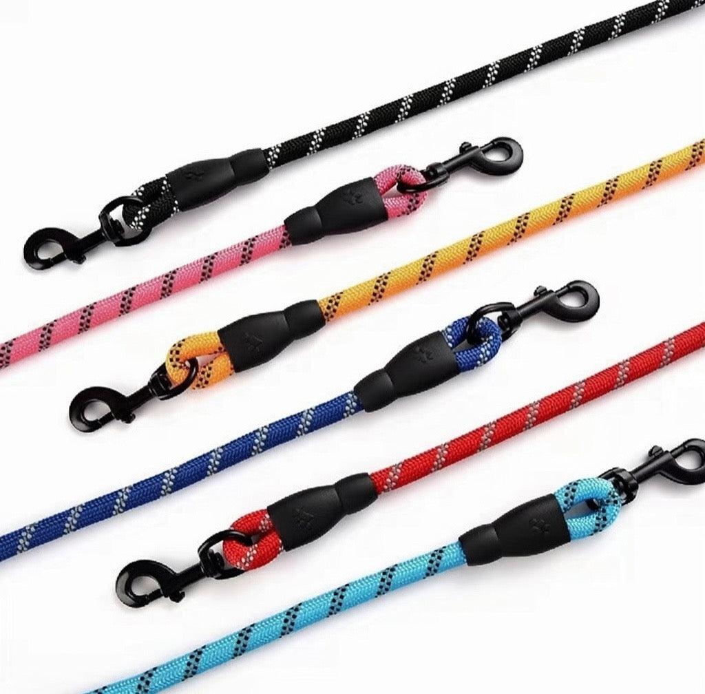 Reflective Everyday Dog Leash