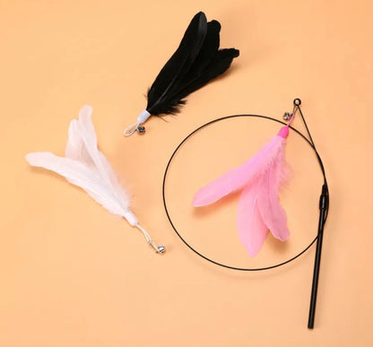 Feather Teaser Toy