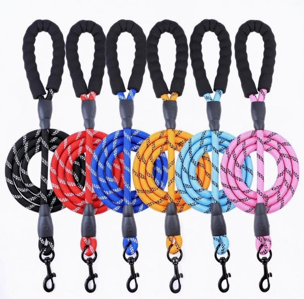 Reflective Everyday Dog Leash
