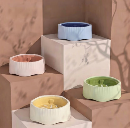 All-in-One Pet Feeding Bowl