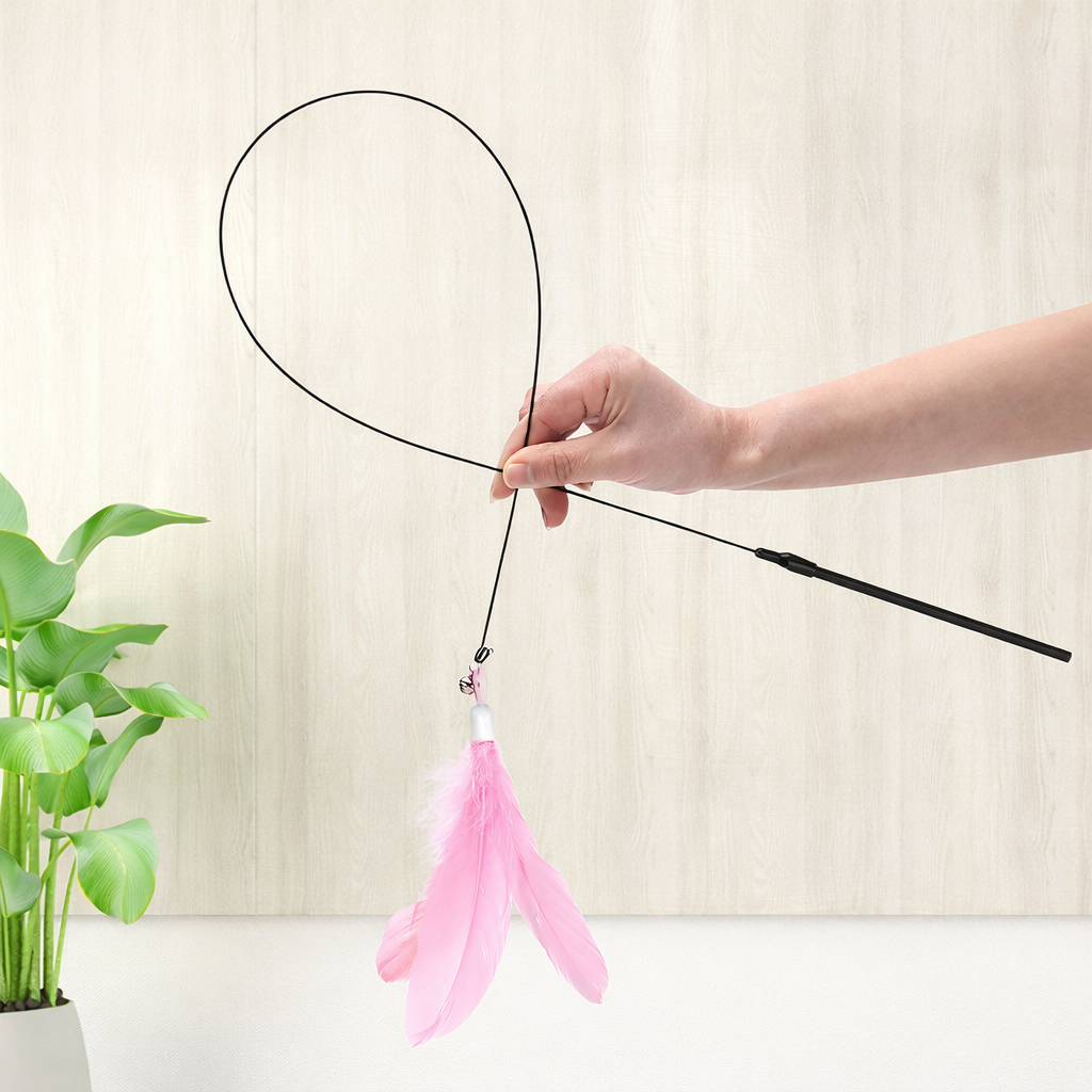 Feather Teaser Toy
